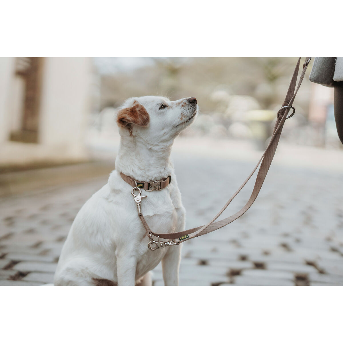 DoHundkoppel Hunter Inari Beige 200 cm - 4