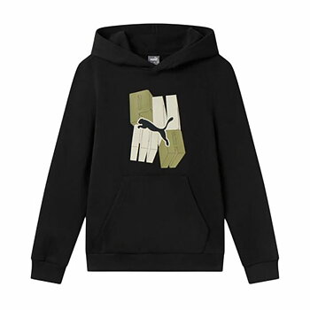 Tröja med huva Unisex Puma Essentials+ Graphic Fl