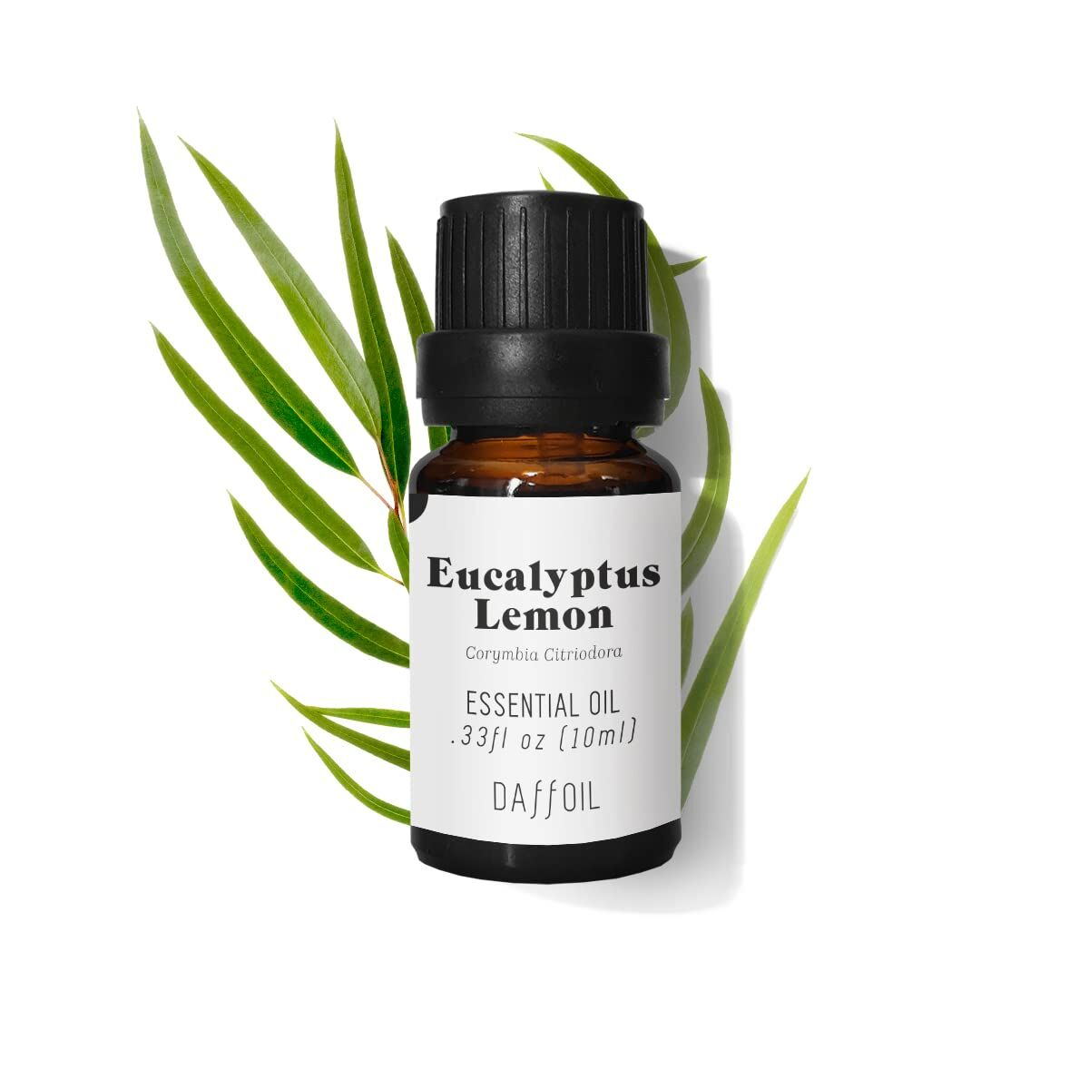 Luftrenare Daffoil DAFFOIL EUCALIPTO 10 ml