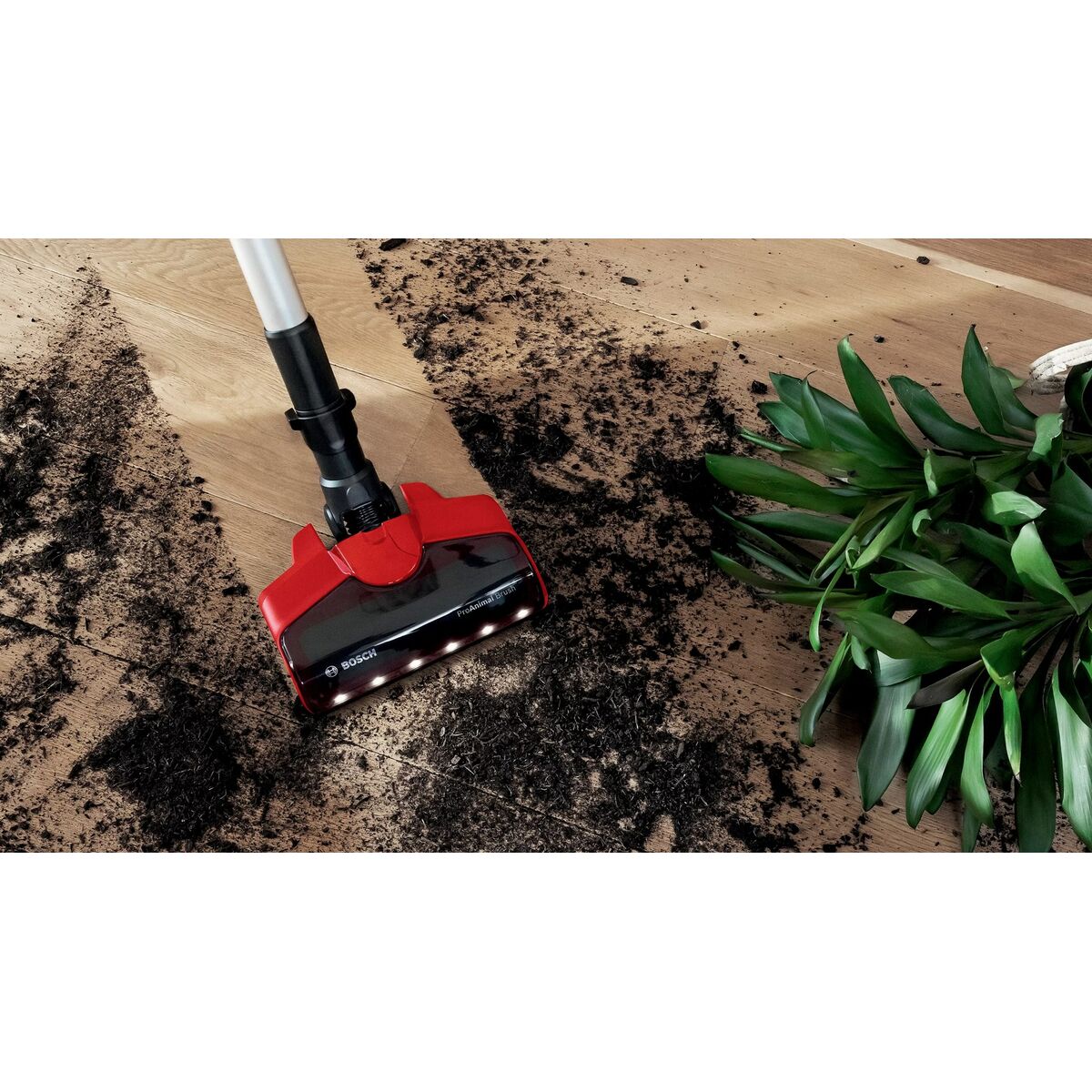 Sladdlös Dammsugare BOSCH BCS711PET - 5