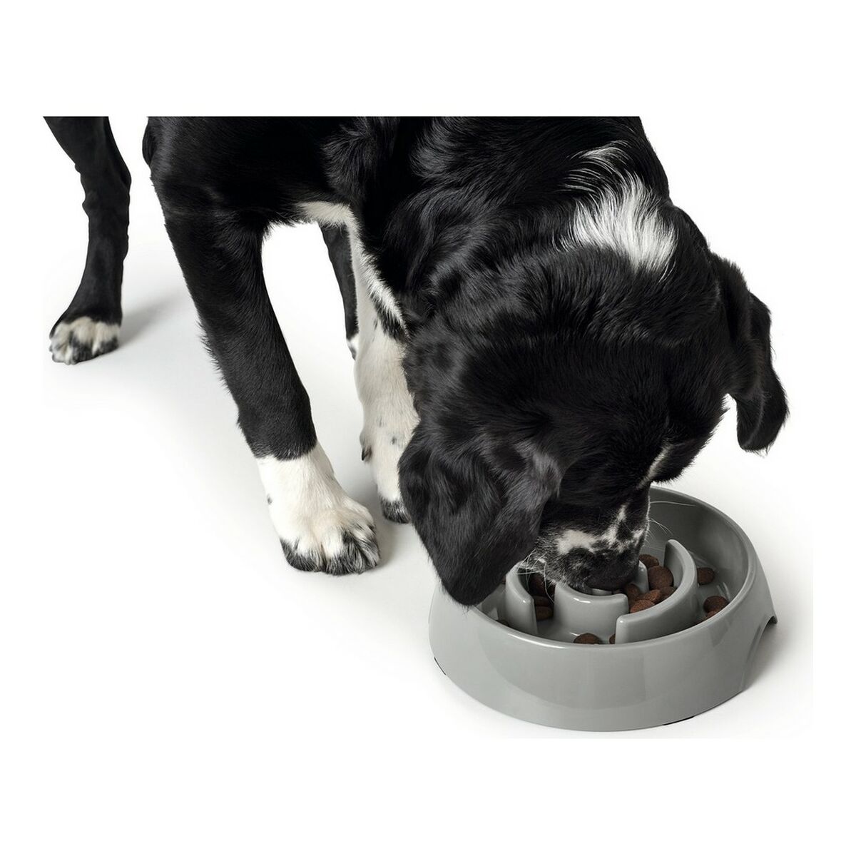 Hundmatare Hunter Melamin 550 ml - 7