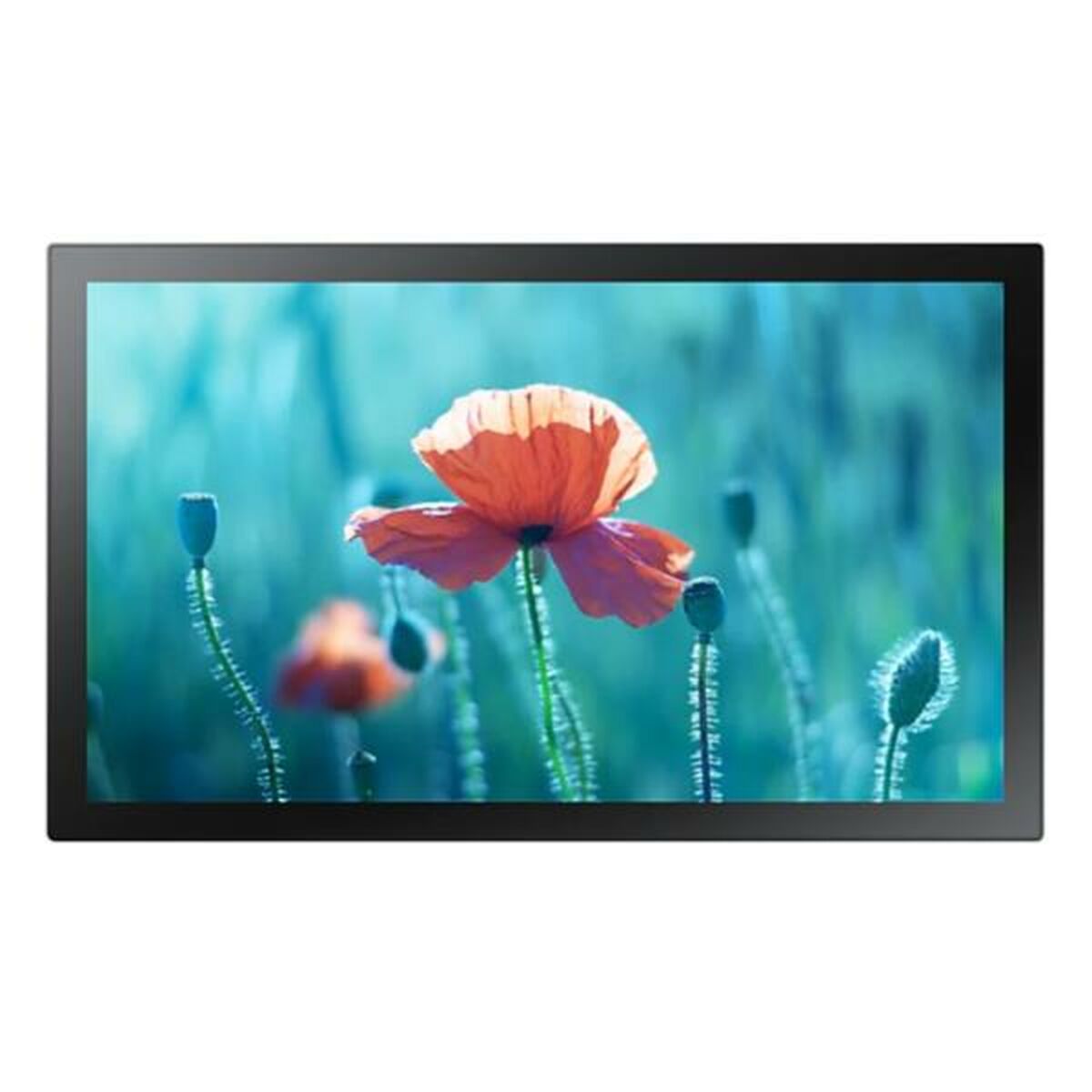 Videovägg Monitor Samsung QB13R-TM 13" Full HD 75 Hz