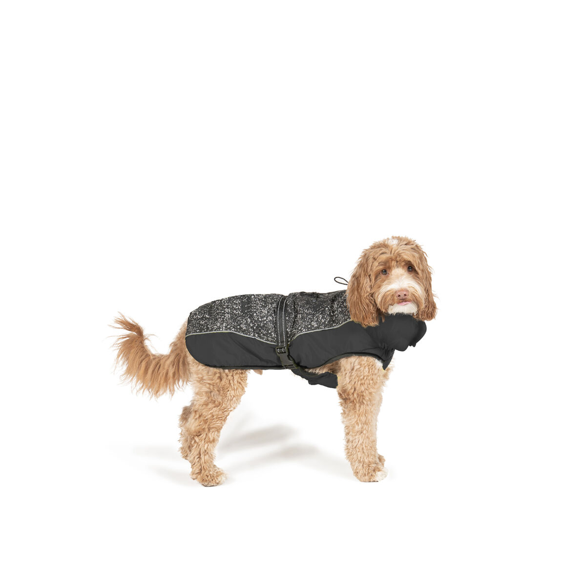 Hundrock Dog Gone Smart Svart 45 cm - 7