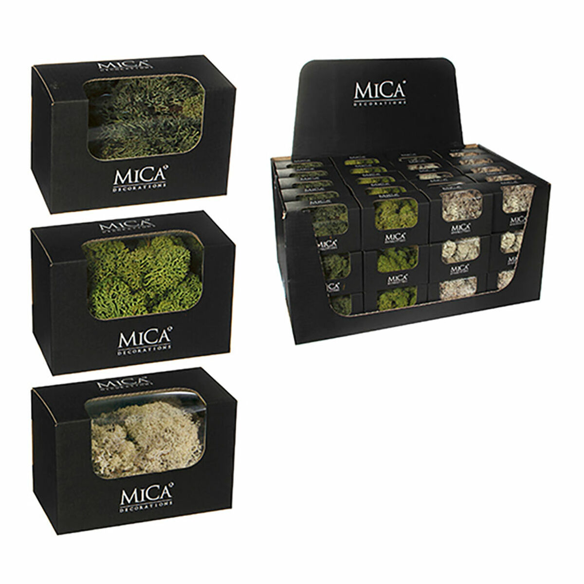 Dekorativ växt Mica Decorations 50 g Mossa - 2