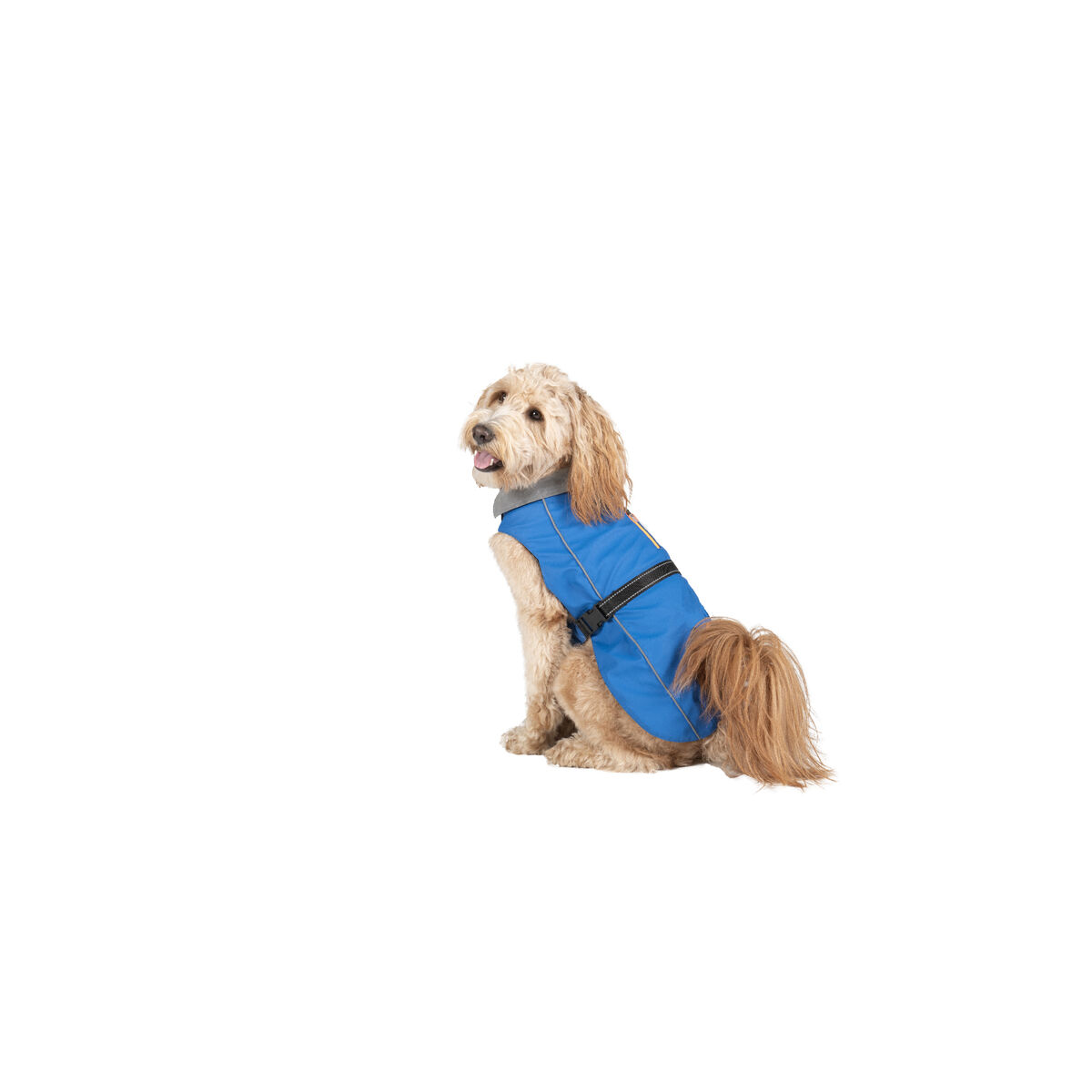 Regnrock för hundar Dog Gone Smart Blå 30 cm - 2