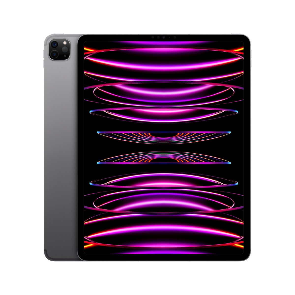 Läsplatta iPad Pro Apple MP1X3TY/A 12,9" 8 GB RAM M2 Grå 128 GB