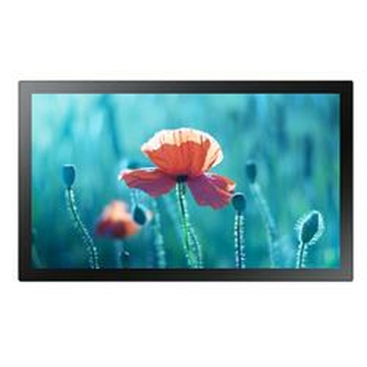 Videovägg Monitor Samsung QB13R-M Full HD 13" 60 Hz