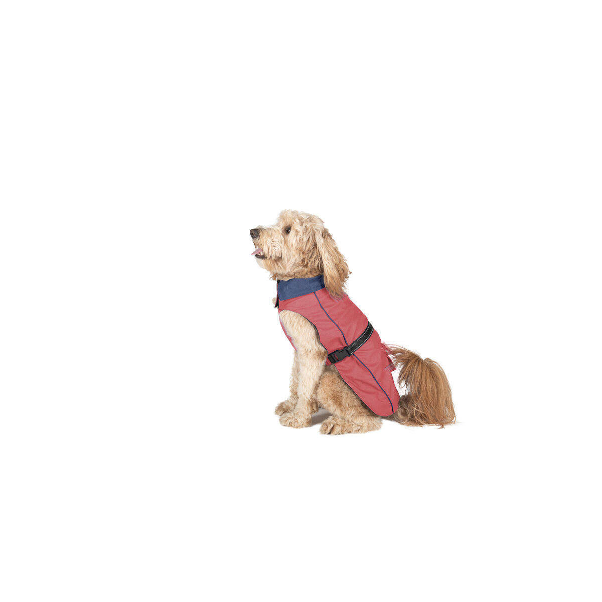 Regnrock för hundar Dog Gone Smart Korall 40 cm