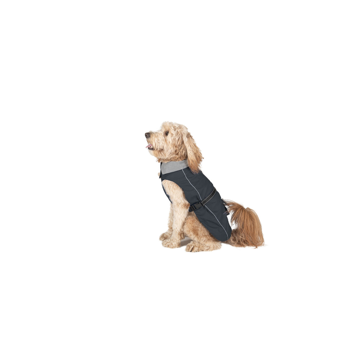 Regnrock för hundar Dog Gone Smart Svart 60 cm - 3