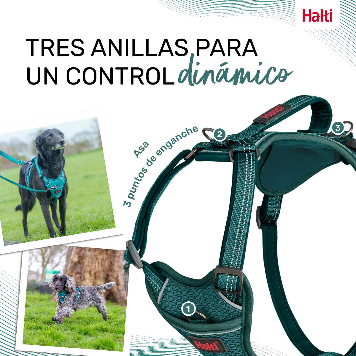 Hundsele Company of Animals Turkos L 42-65 cm - 2