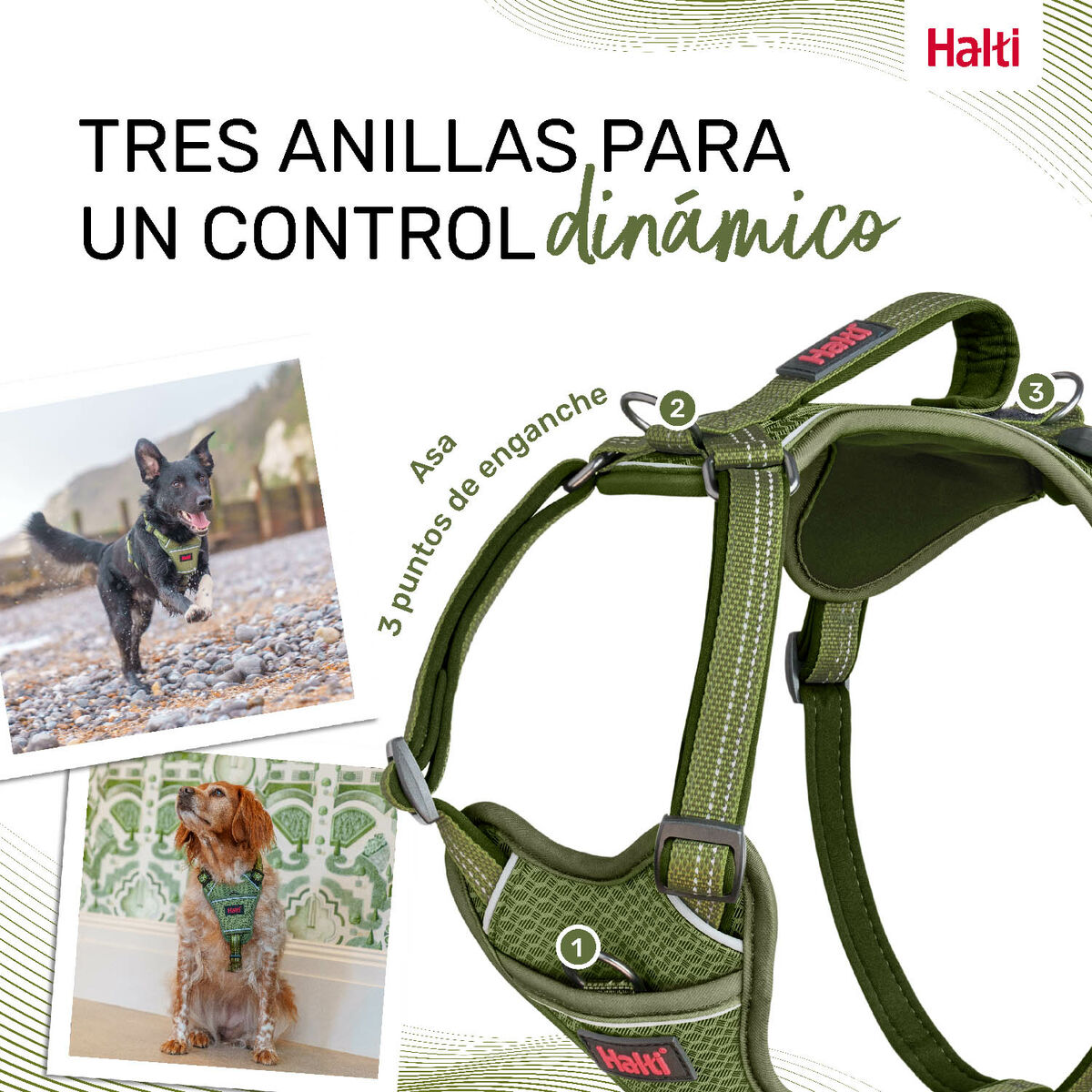 Hundsele Company of Animals Grön L 42-65 cm - 3