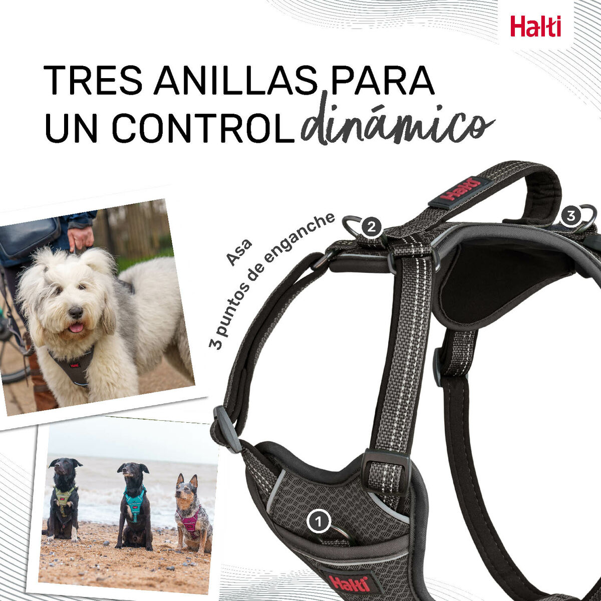Hundsele Company of Animals Grå S 28-42 cm - 3