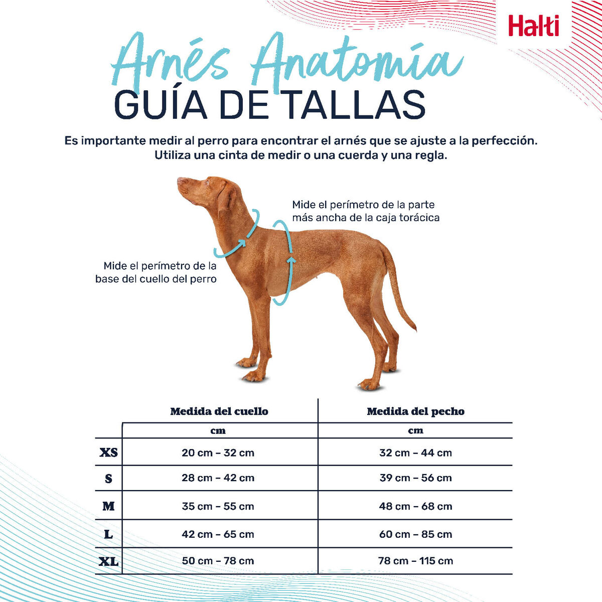 Hundsele Company of Animals Grå L 42-65 cm - 4