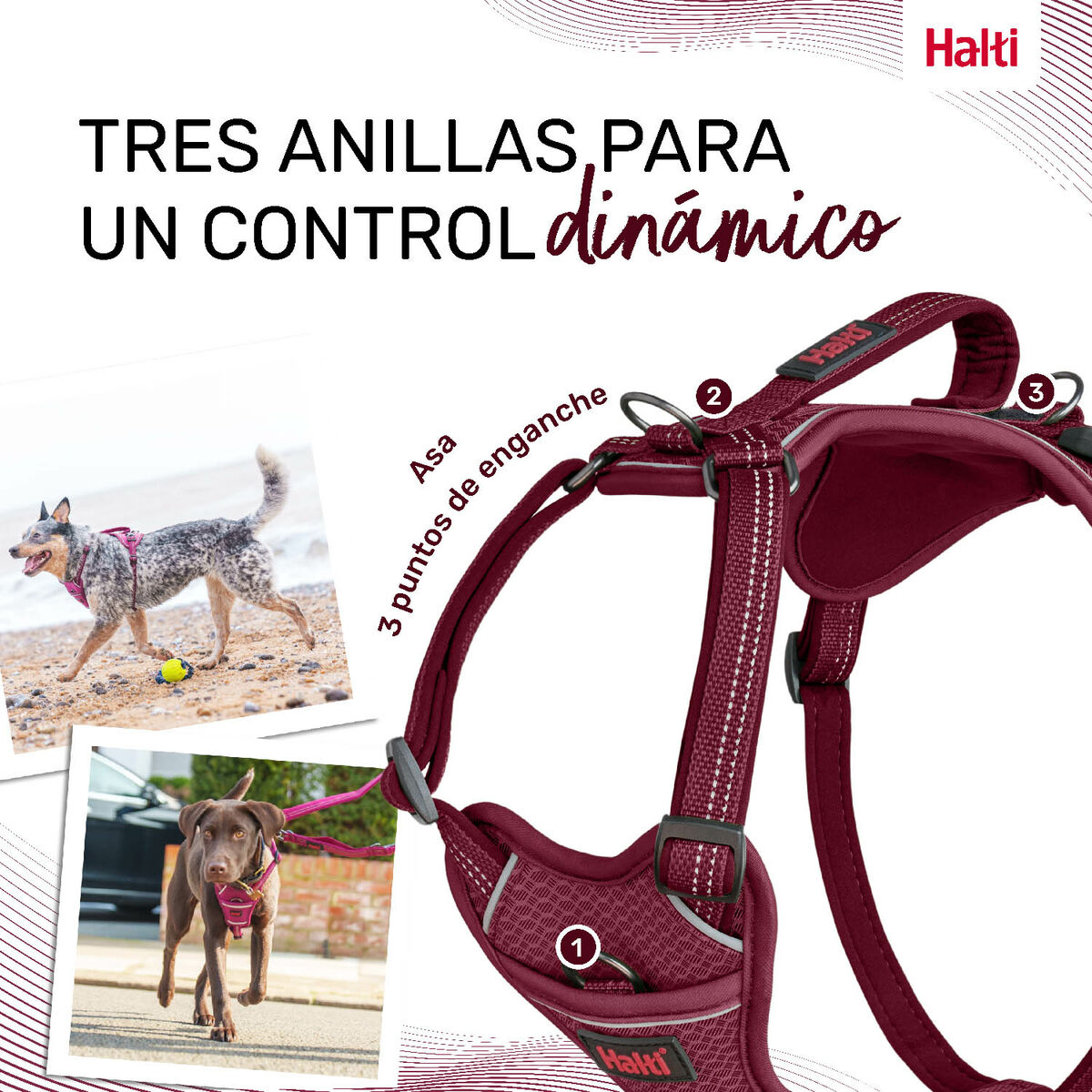 Hundsele Company of Animals Bordeaux M 35-55 cm - 2