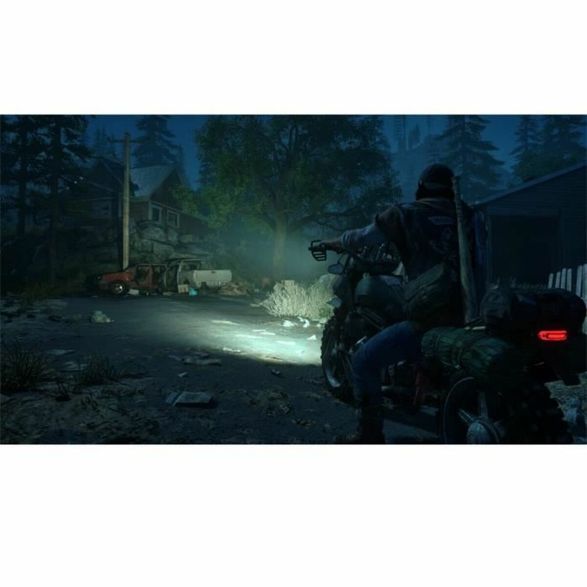PlayStation 4 Videospel Sony Days Gone - 5