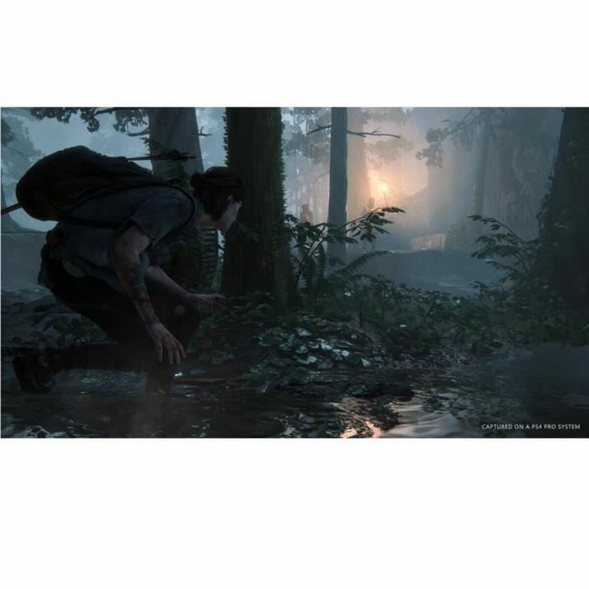 PlayStation 4 Videospel Naughty Dog The Last of Us: Part 2 - 2