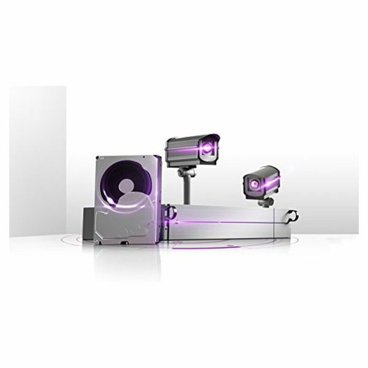 Hårddisk Western Digital SATA PURPLE 3,5" - 10