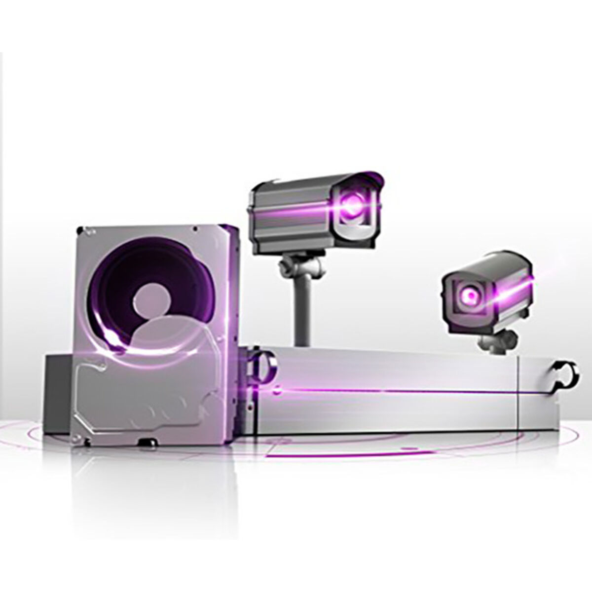 Hårddisk Western Digital SATA PURPLE 3,5" - 5