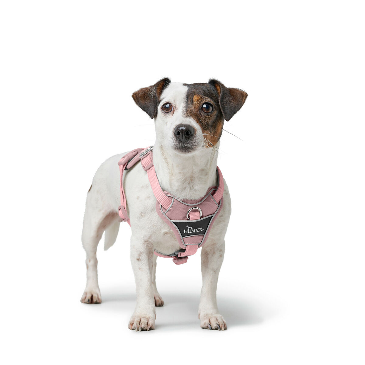 Hundsele Hunter DIVO UP Rosa S - 4