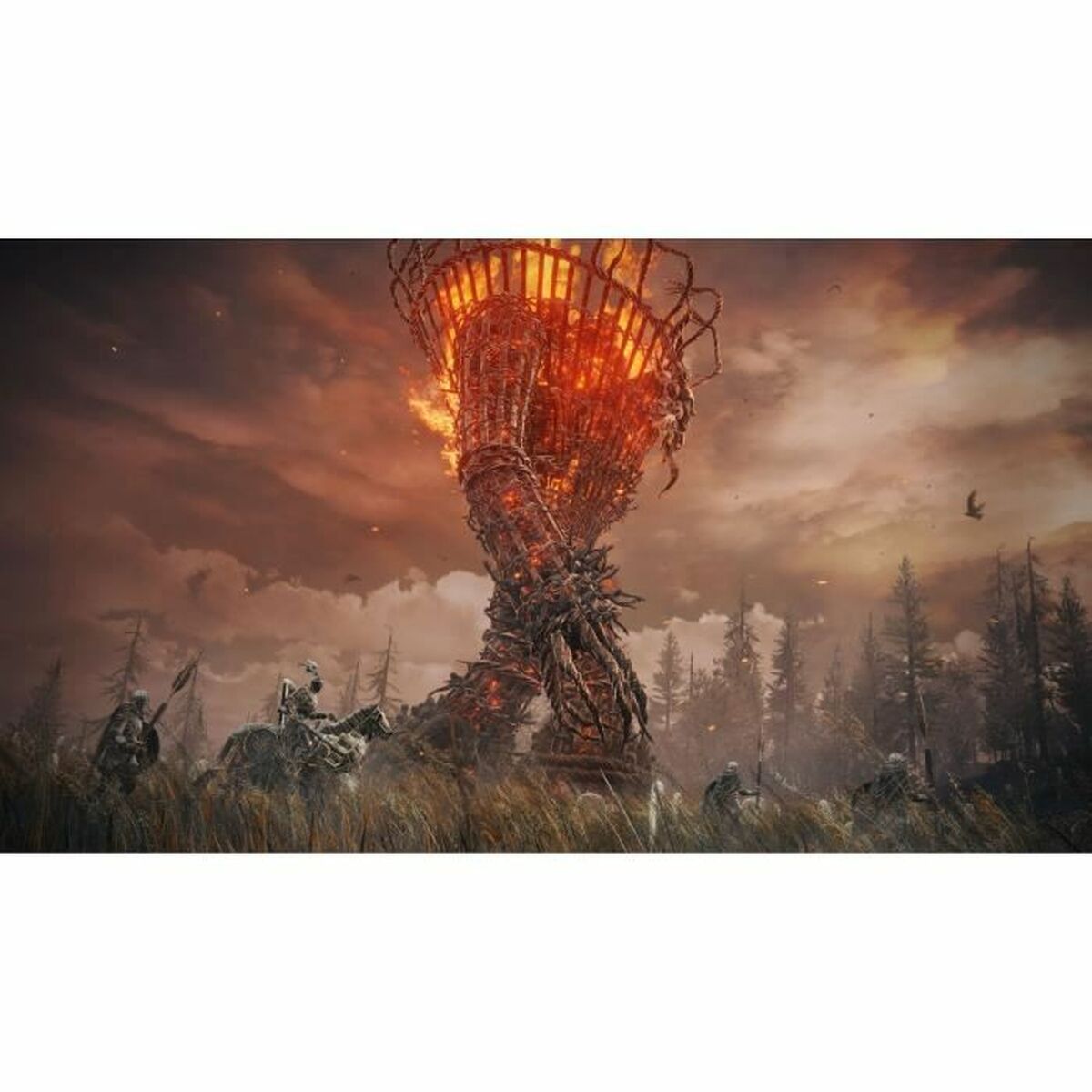 PlayStation 5 Videospel Bandai Namco Elden Ring: Shadow of The Erdtree Collector’s Edition - 4