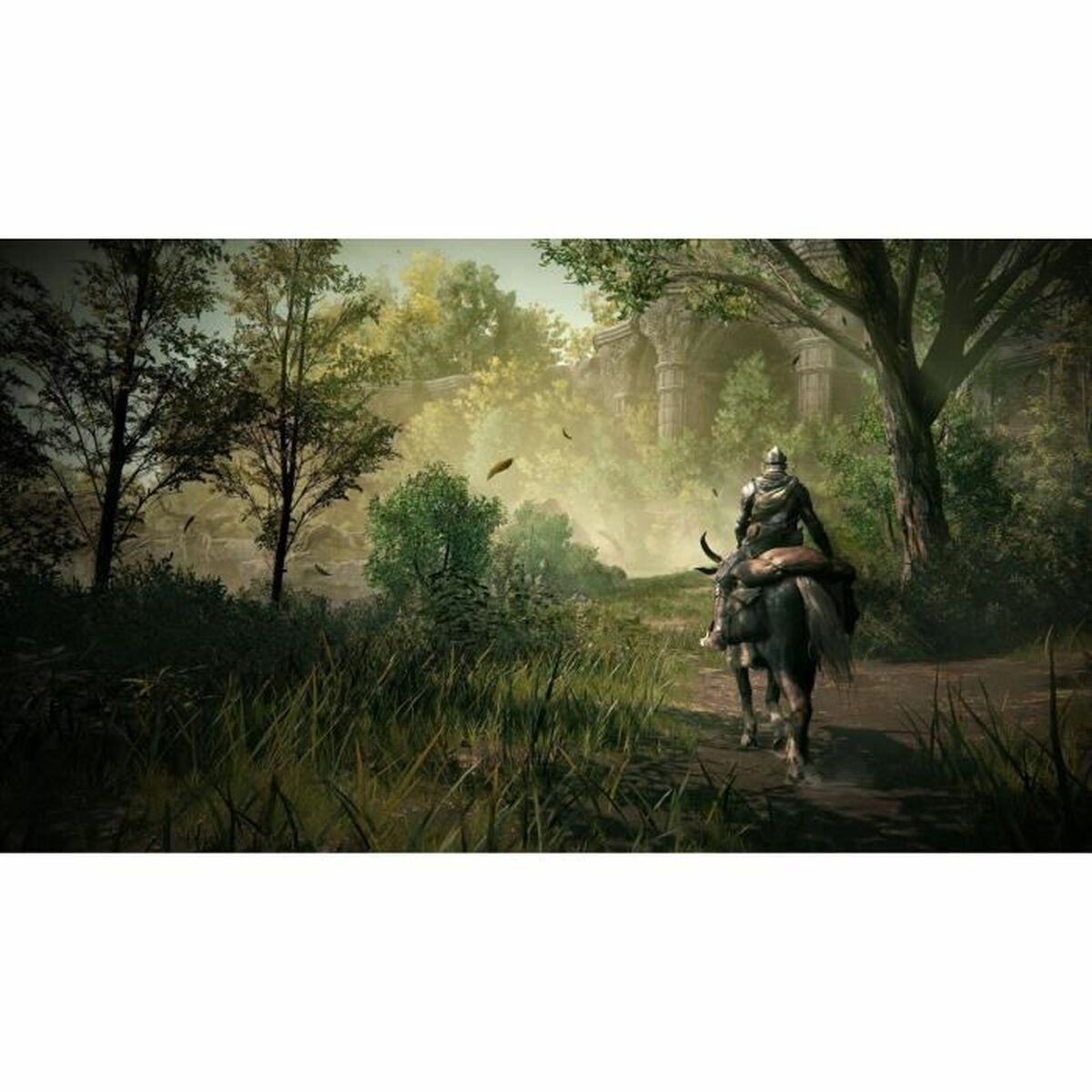 PlayStation 5 Videospel Bandai Namco Elden Ring: Shadow of The Erdtree Collector’s Edition - 2