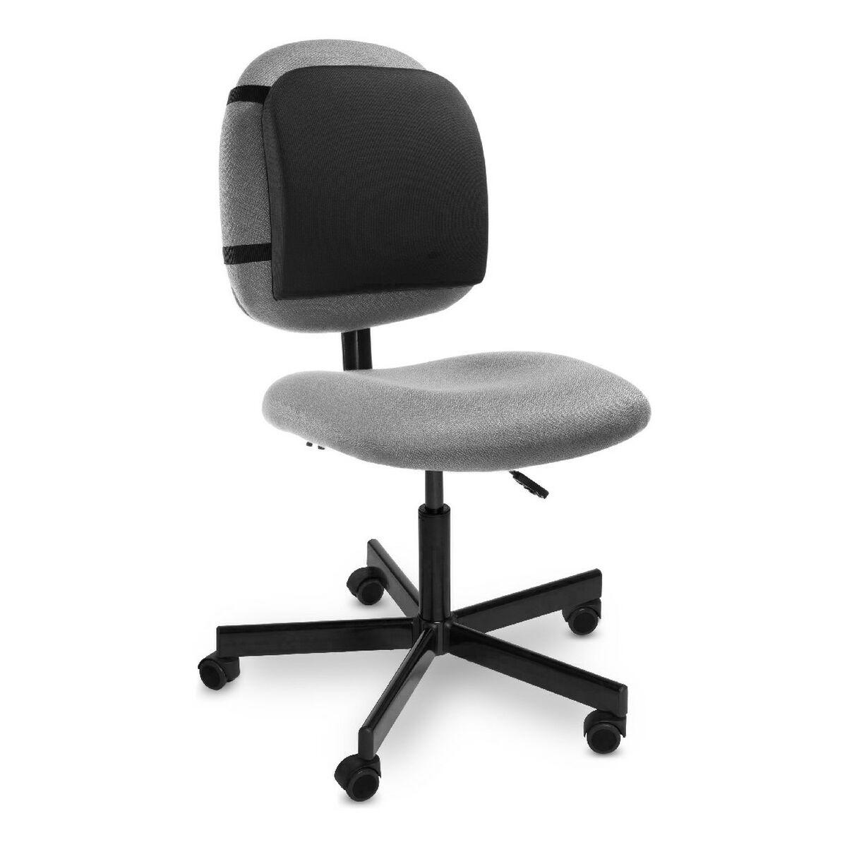Ländryggstöd P&C 6014706 - 4