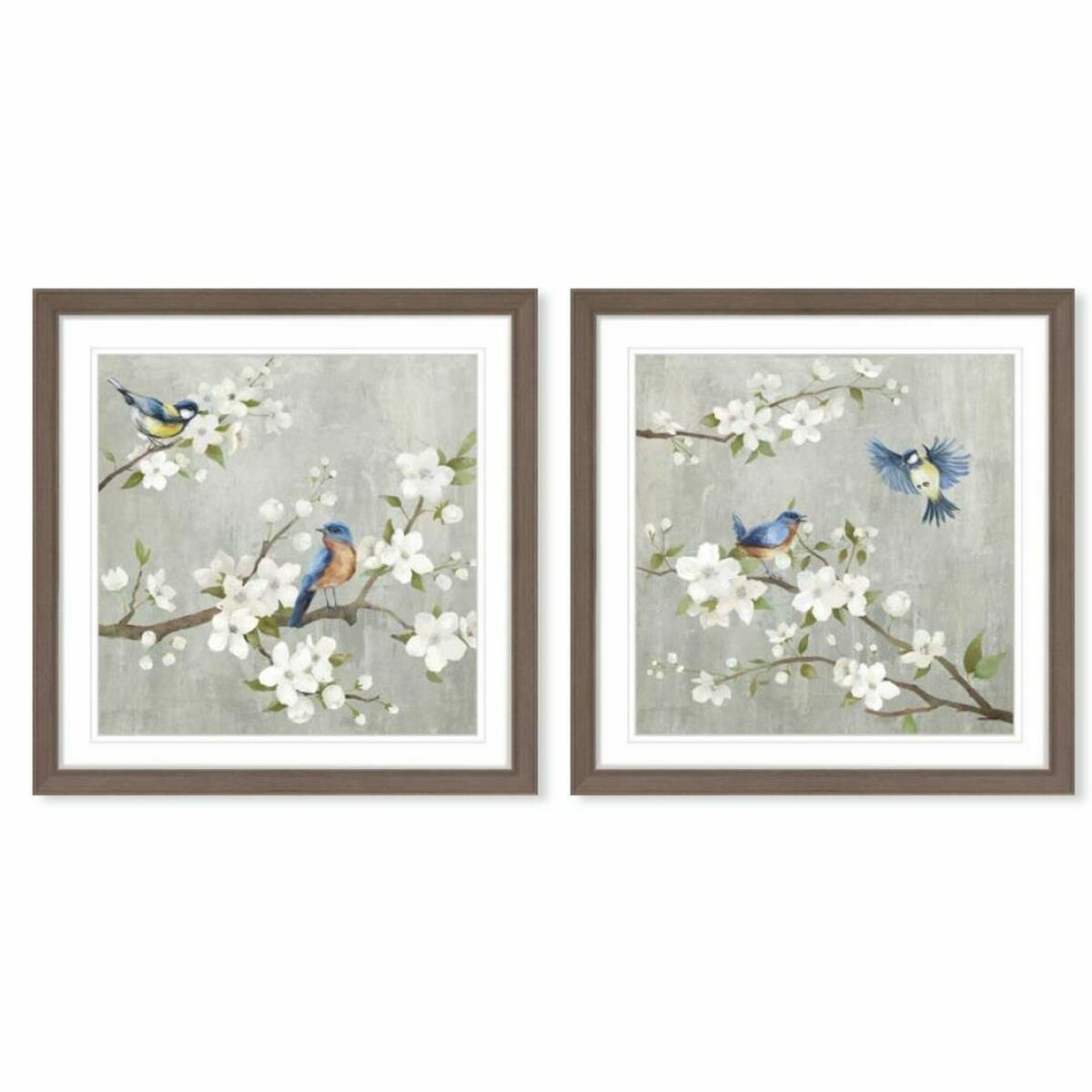 Kanvas DKD Home Decor 63 x 3 x 63 cm 60 x 3 x 60 cm Fåglar Shabby Chic (2 antal) - 3