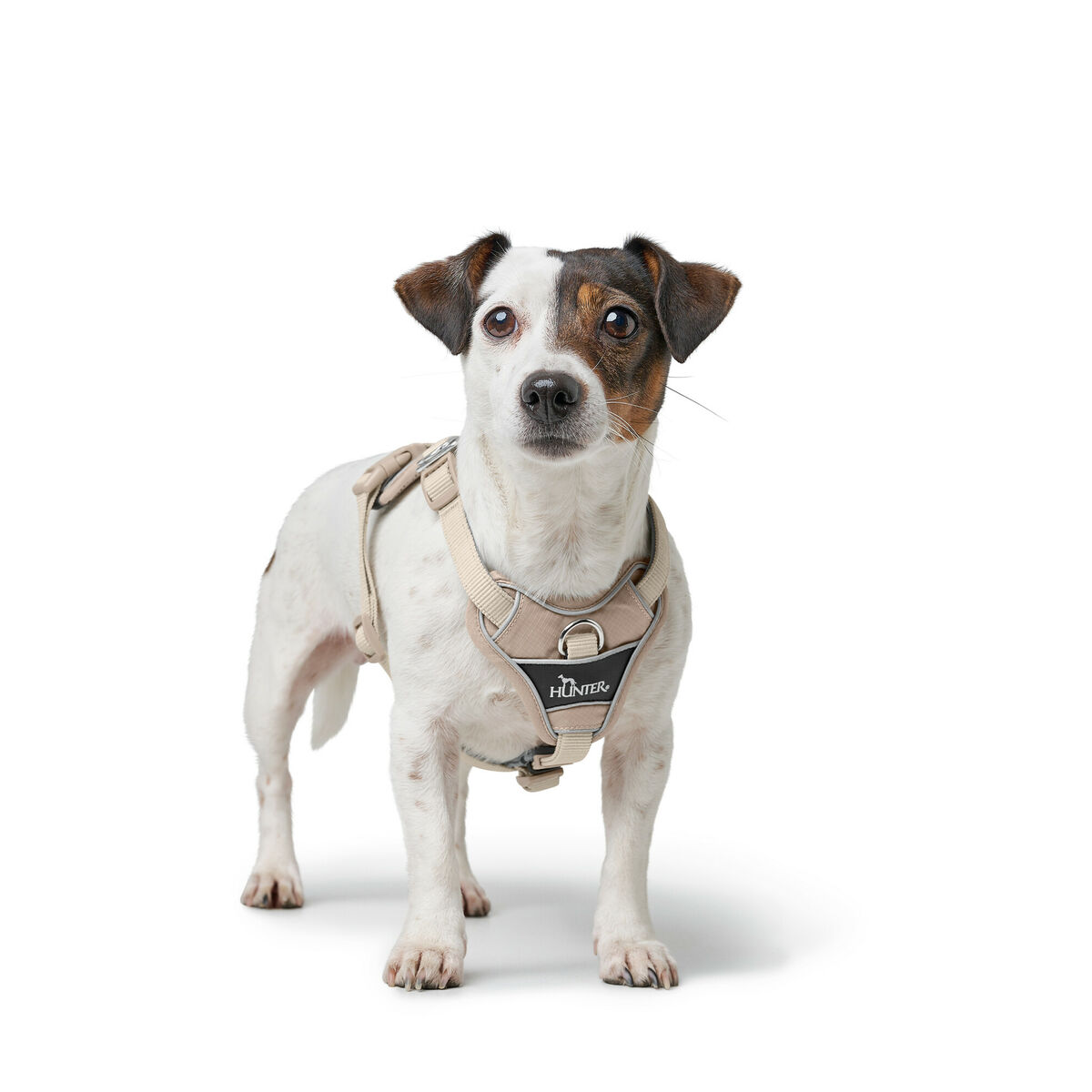Hundsele Hunter DIVO UP Beige M - 4