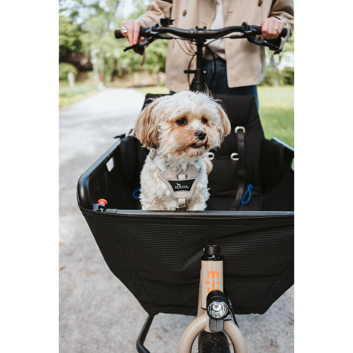 Hundsele Hunter DIVO UP Beige S - 7