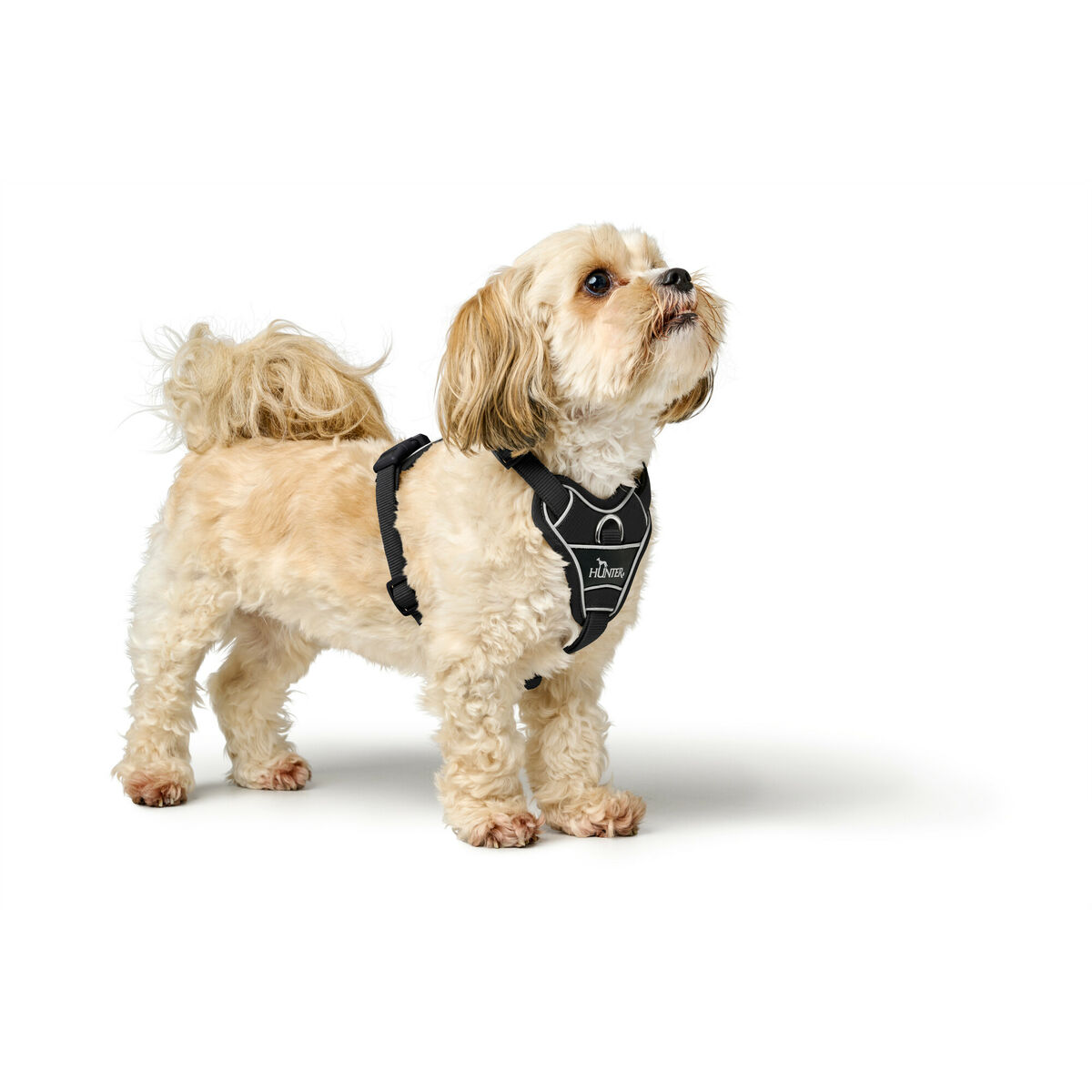 Hundsele Hunter DIVO UP Svart XS - 3