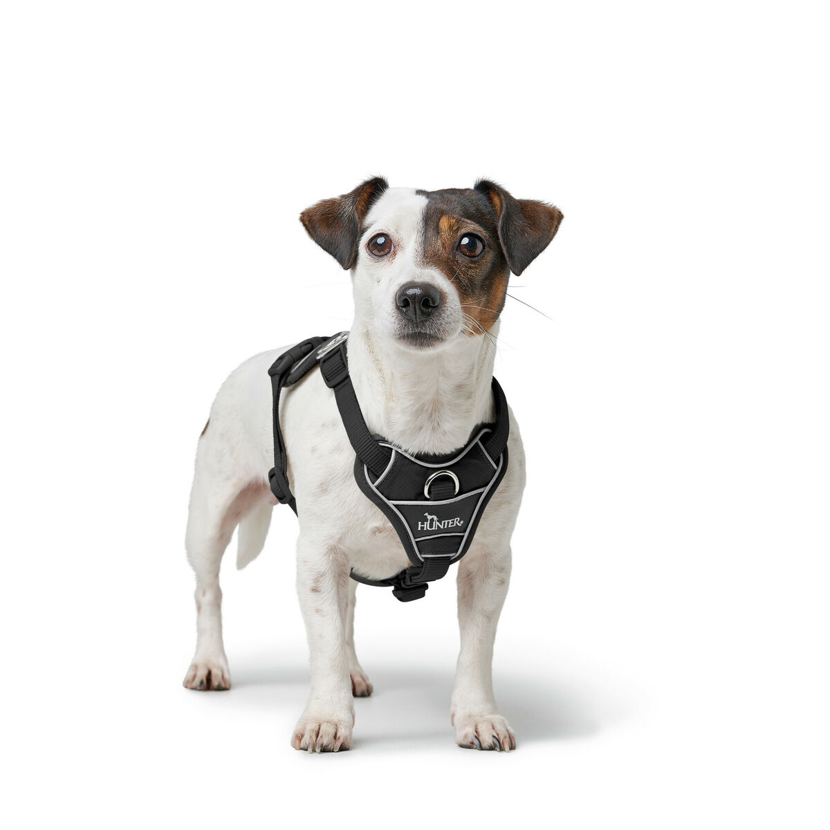 Hundsele Hunter DIVO UP Svart L/XL - 4