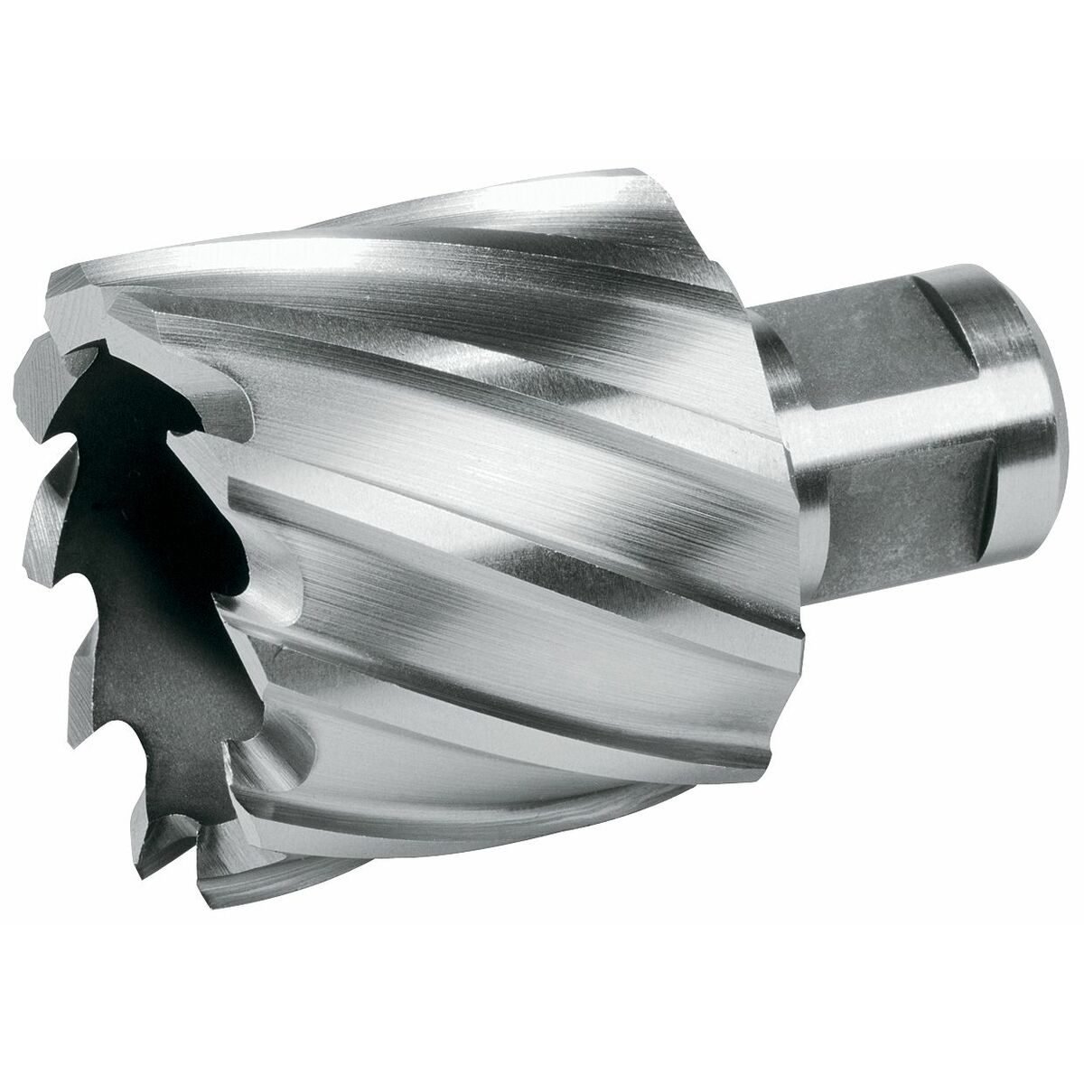 Håligt borr TERRAX 28 mm Weldon - 2