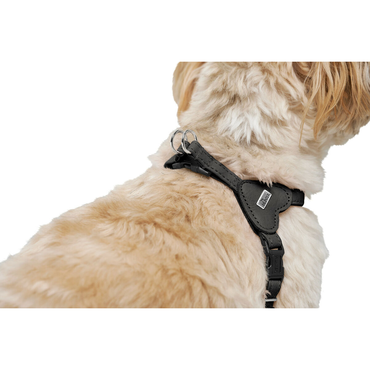Hundsele Hunter SOHO MINI Svart - 6