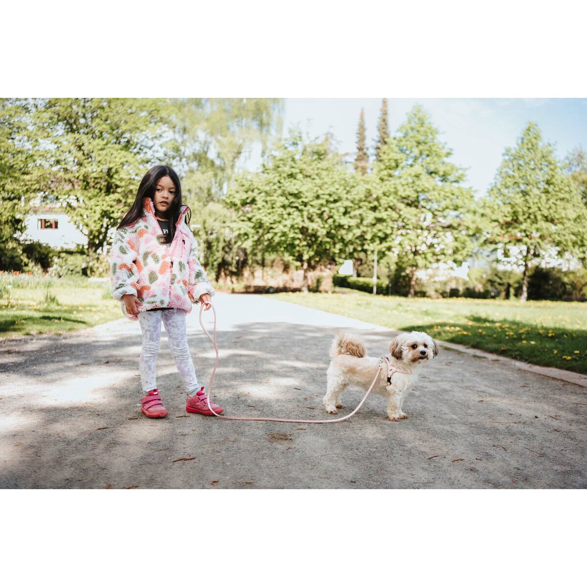 Hundsele Hunter SOHO MINI Rosa XXS/XS - 3