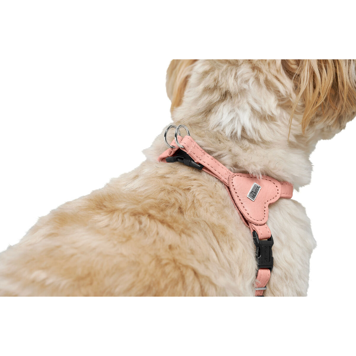 Hundsele Hunter SOHO MINI Rosa XS - 4
