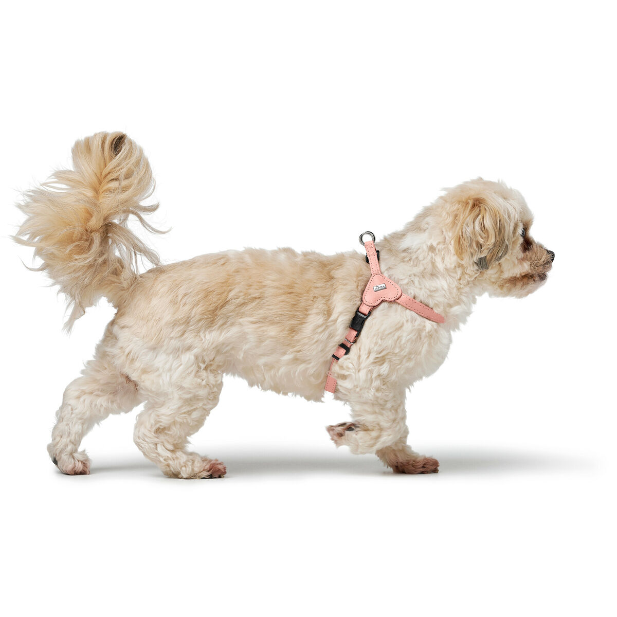 Hundsele Hunter SOHO MINI Rosa XS/S - 7
