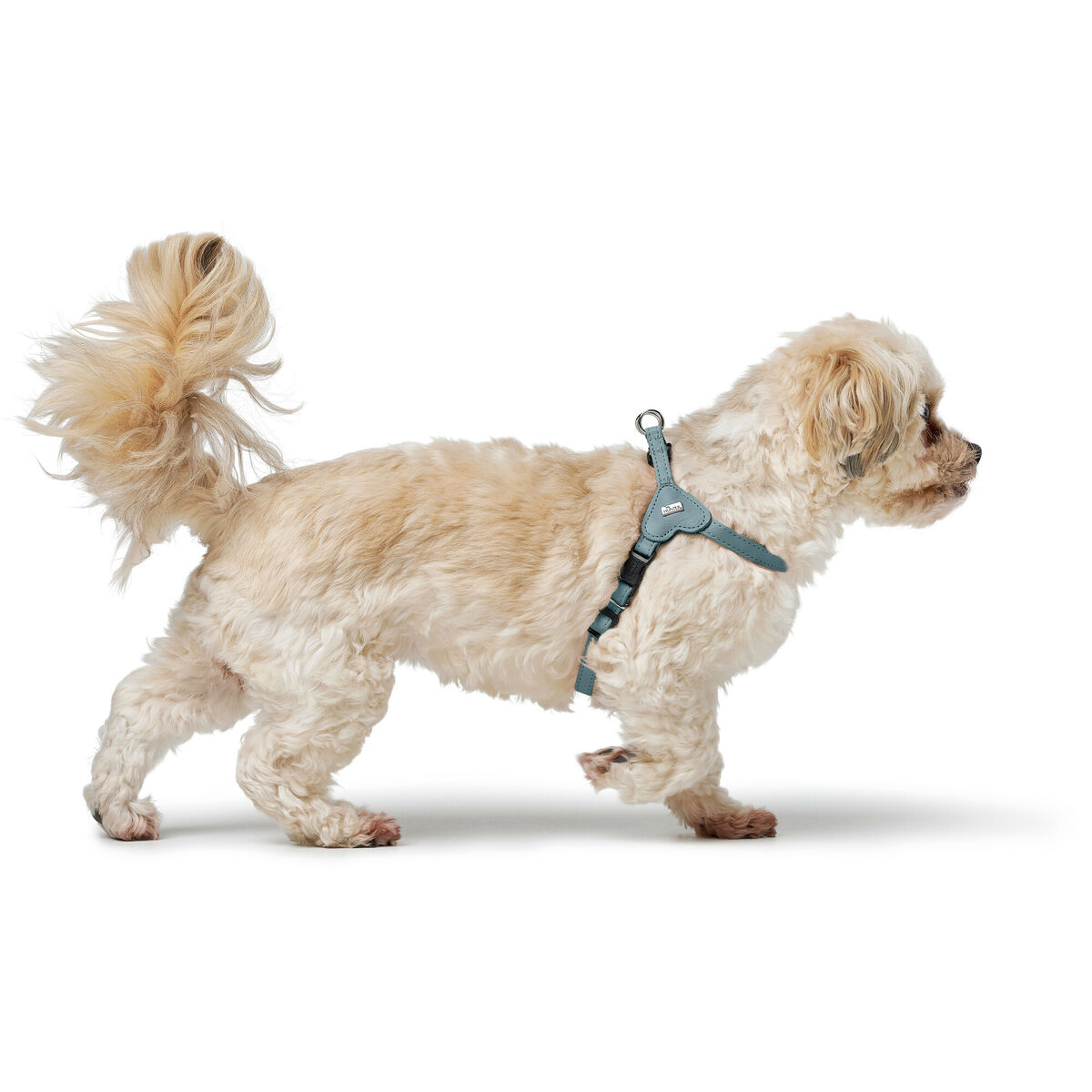 Hundsele Hunter SOHO MINI Blå XS - 4