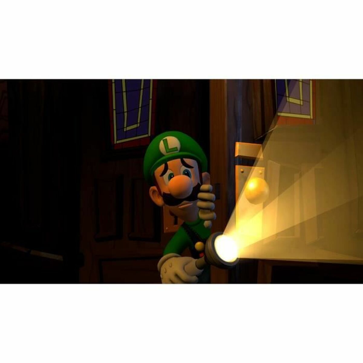 TV-spel för Switch Nintendo Luigi's Mansion 2 - 2