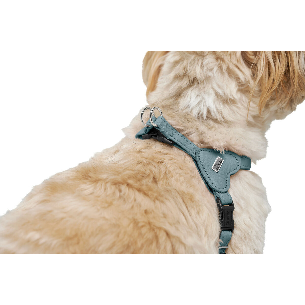 Hundsele Hunter SOHO MINI Blå XS/S - 5