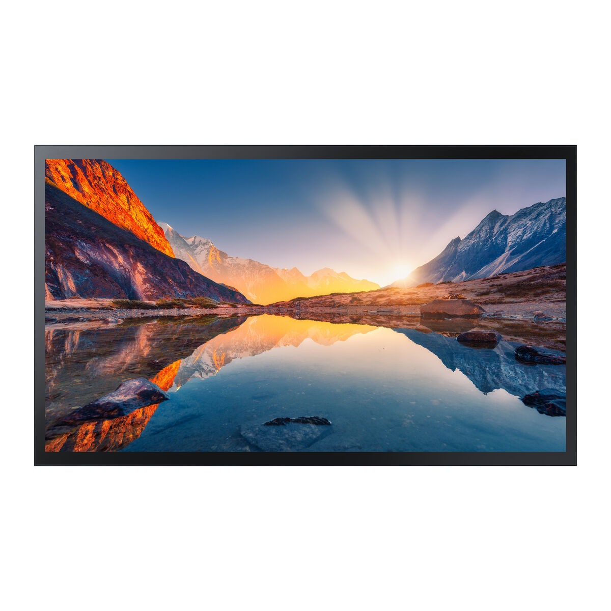 Videovägg Monitor Samsung QMB-T 55"