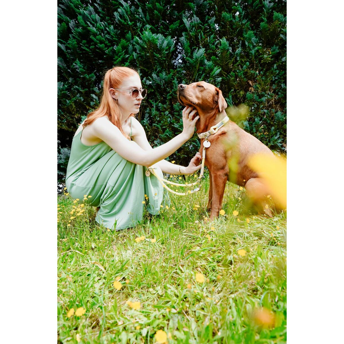 Hundhalsband Hunter Malia Lime M/L 45-54 cm - 6