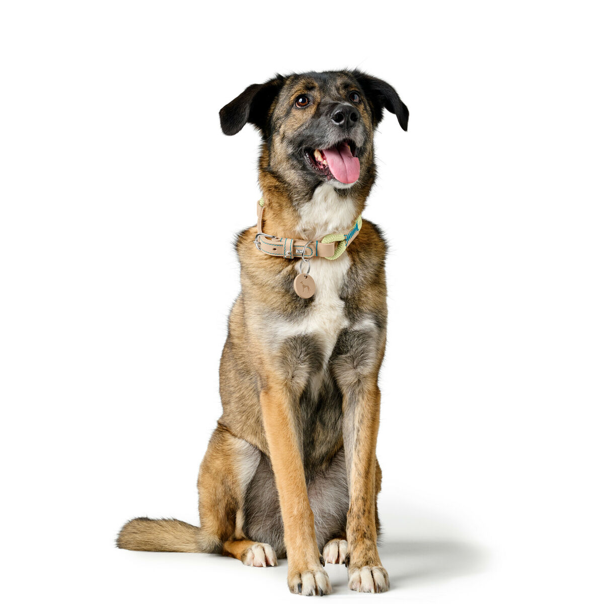 Hundhalsband Hunter MALIA Grön M/L 45-54 cm - 5