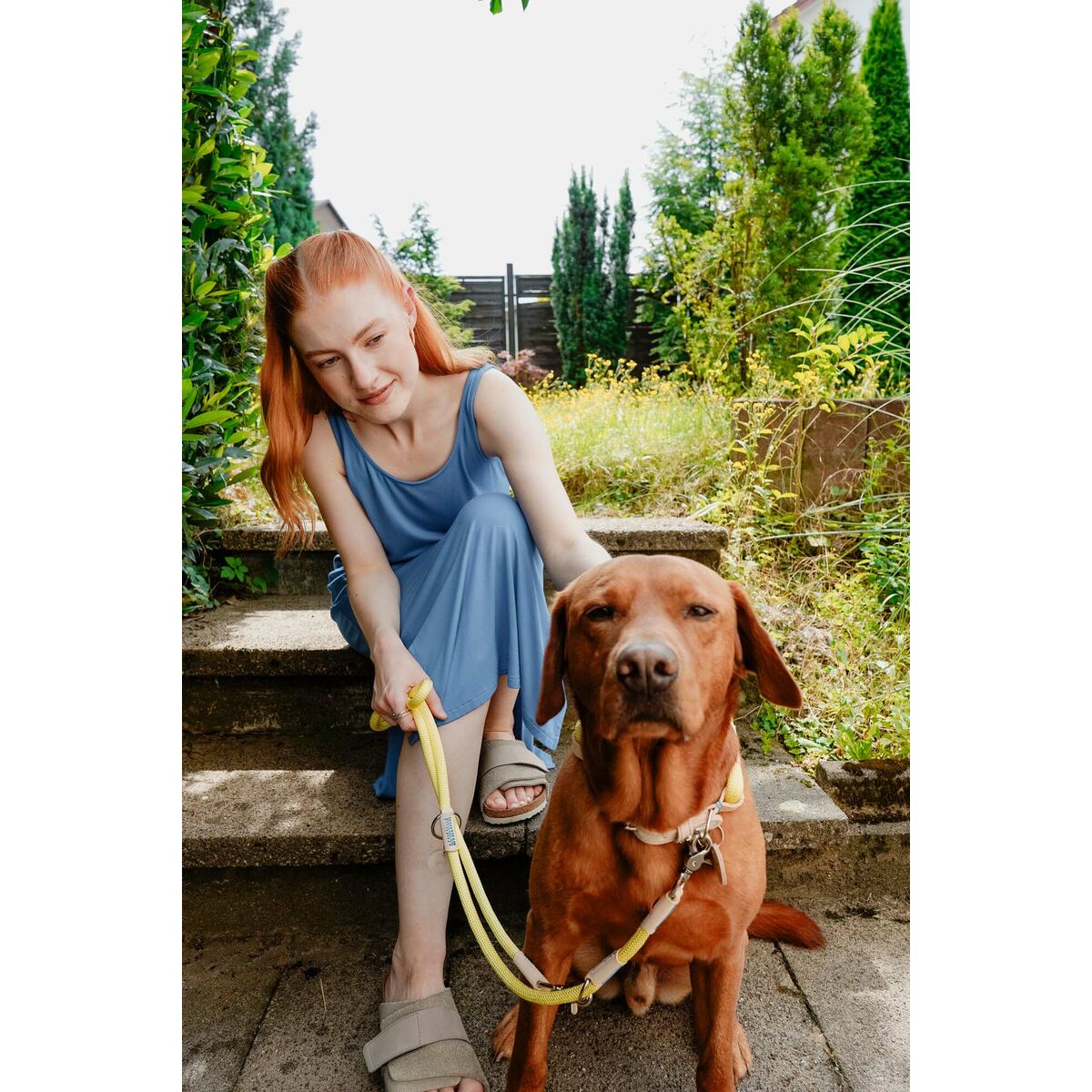 DoHundkoppel Hunter MALIA Lime 1 x 200 cm - 6
