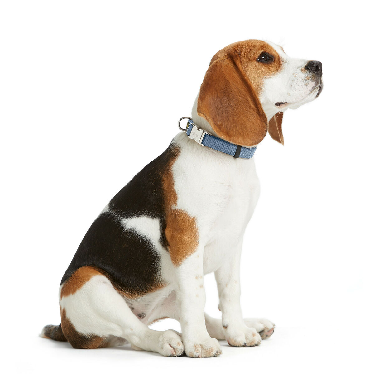 Hundhalsband Hunter VARIO BASIC Blå XL 45-65 cm - 2
