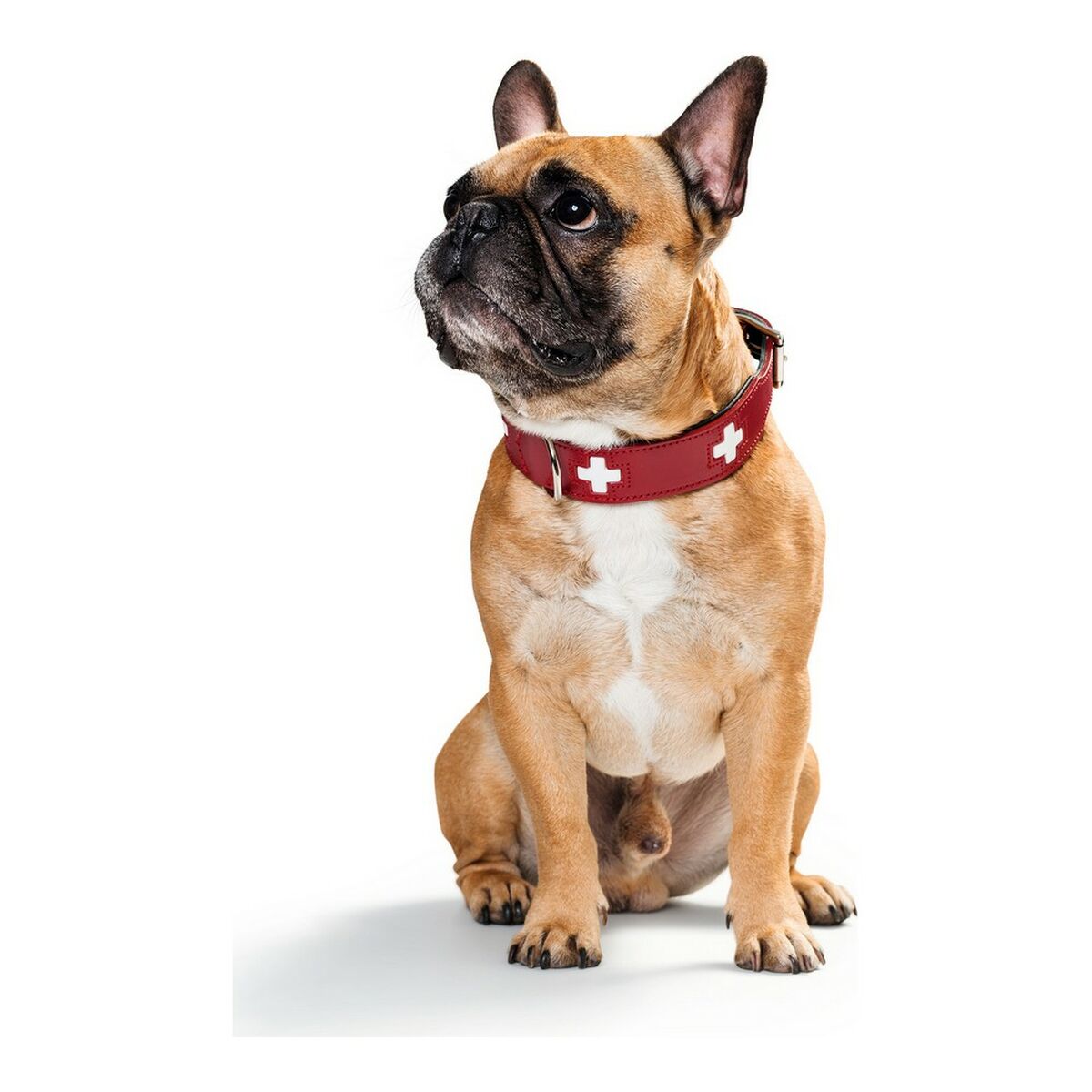 Hundhalsband Hunter Swiss Röd/Svart 35-43 cm - 12
