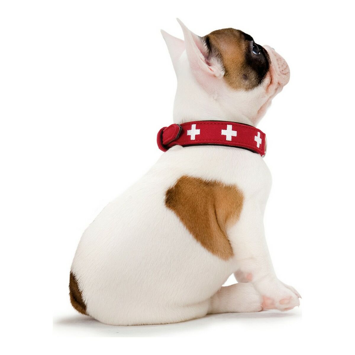 Hundhalsband Hunter Swiss Röd/Svart 35-43 cm - 11
