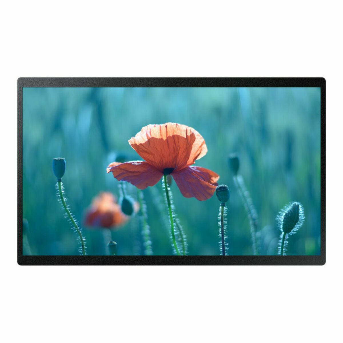 Videovägg Monitor Samsung QB24R-B 24" Full HD 60 Hz