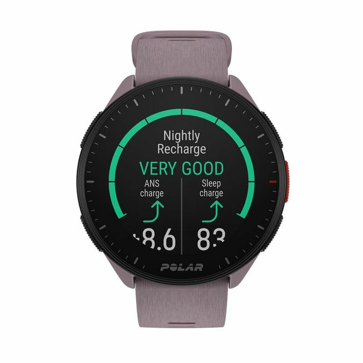 Smartwatch med stegräknare Running Polar Purpur 1,2" - 8