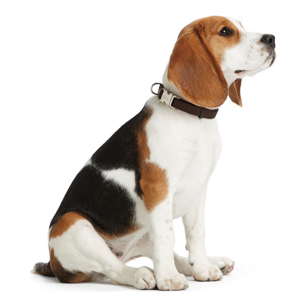 Hundhalsband Hunter Alu-Strong Orange M 30-45 cm - 2