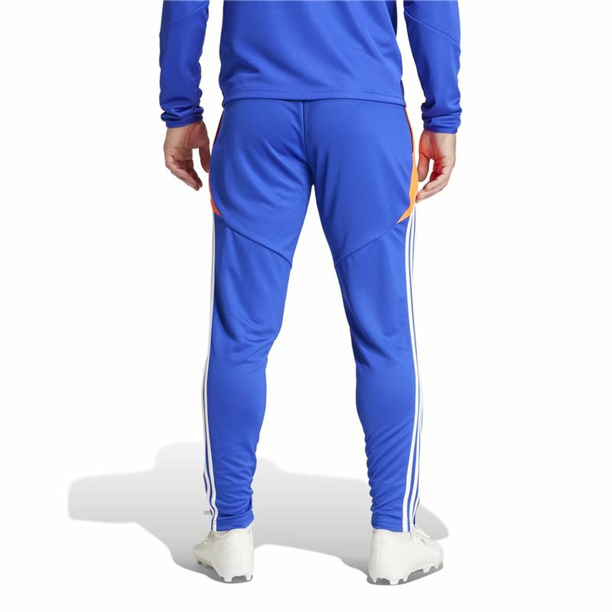 Fotbollsträningsbyxor, Vuxen Adidas Tiro24 Training Regular Män - 3